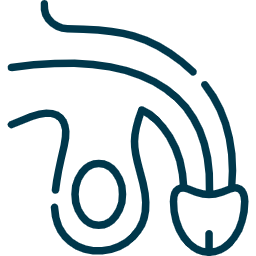 Disfunción sexual